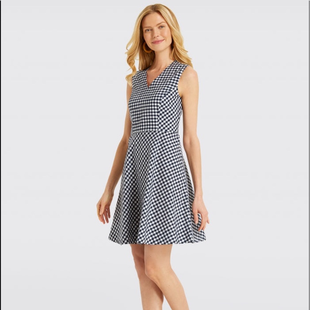 DRAPER JAMES Gingham Love Circle Dress    Size 2